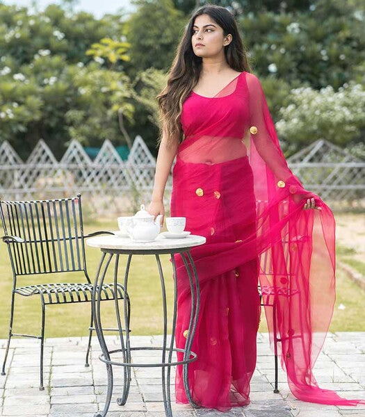 Gulrez Organza Saree